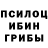 Псилоцибиновые грибы Psilocybe dodo dodood