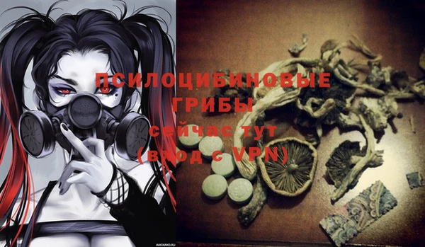 Альфа ПВП Балабаново