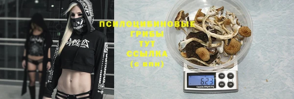 трава Балахна