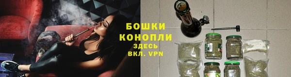 трава Балахна
