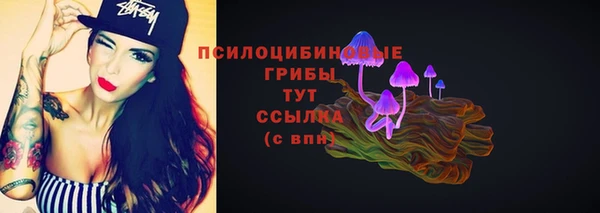 трава Балахна
