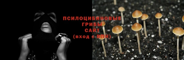 трава Балахна