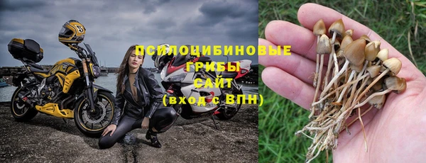 трава Балахна