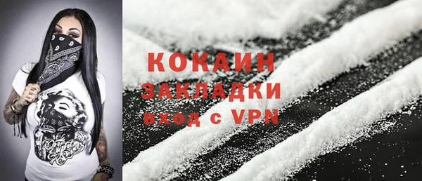 дмт Тавда