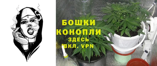 COCAINE Тайга