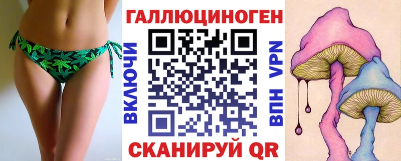 Галлюциногенные грибы Psilocybine cubensis  Ликино-Дулёво 